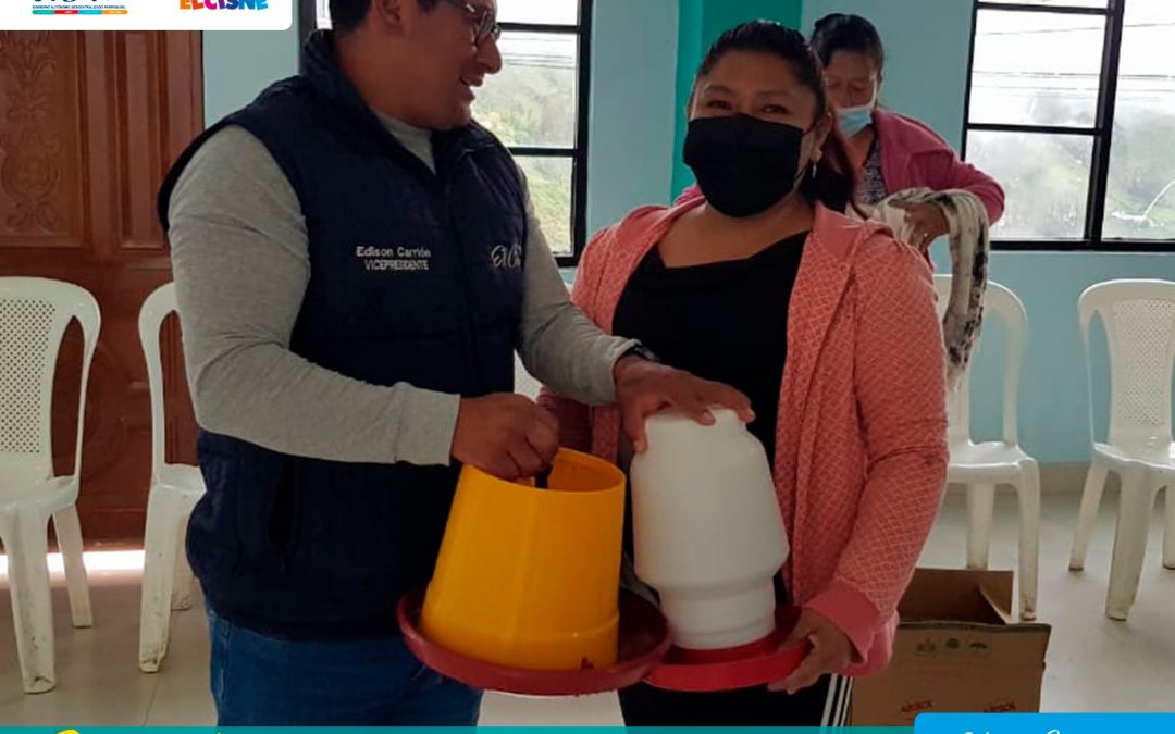 Entrega de 160 pollos, bebederos y comederos