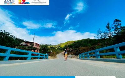 Limpieza, mantenimiento y cambio de cromática del Puente de Ambocas