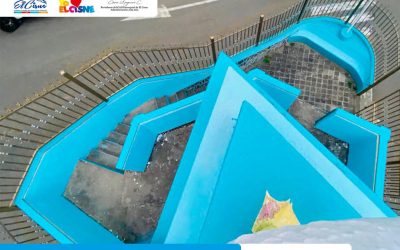Proyecto – El Cisne se muestra al mundo